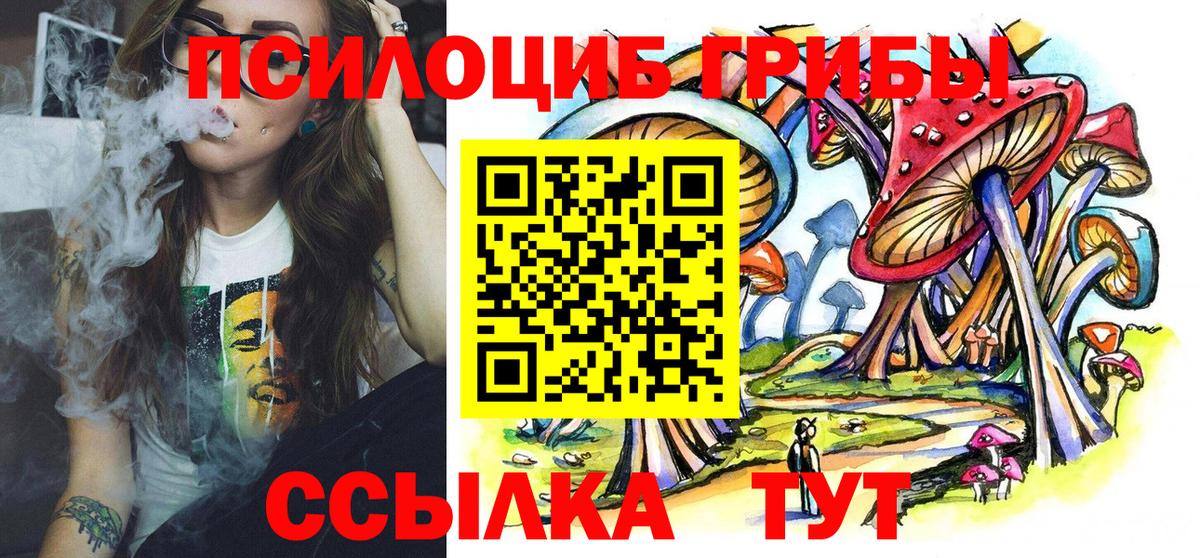 Псилоцибиновые грибы Psilocybe  Вход с VPN  Златоуст 