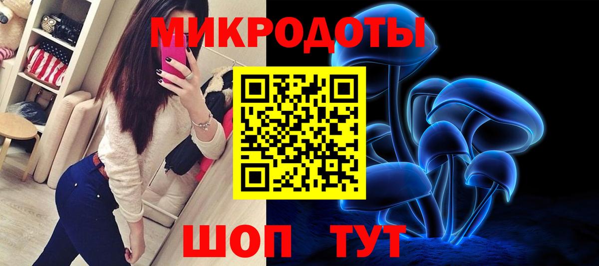 Псилоцибиновые грибы Cubensis Златоуст